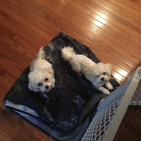 Meet your Posher, Deanna - Picture 1 of 3